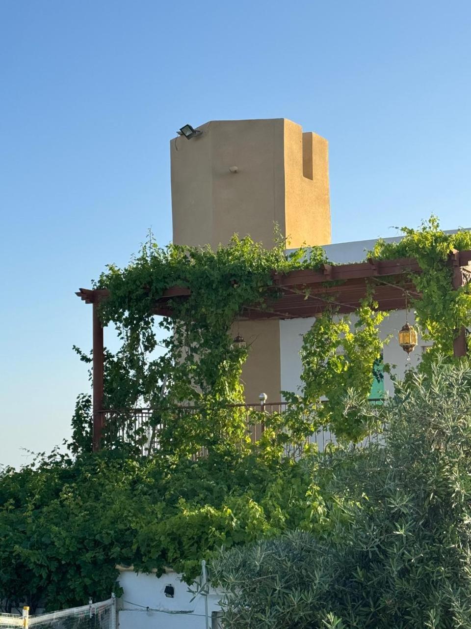 شرفة الجبل الأخضر