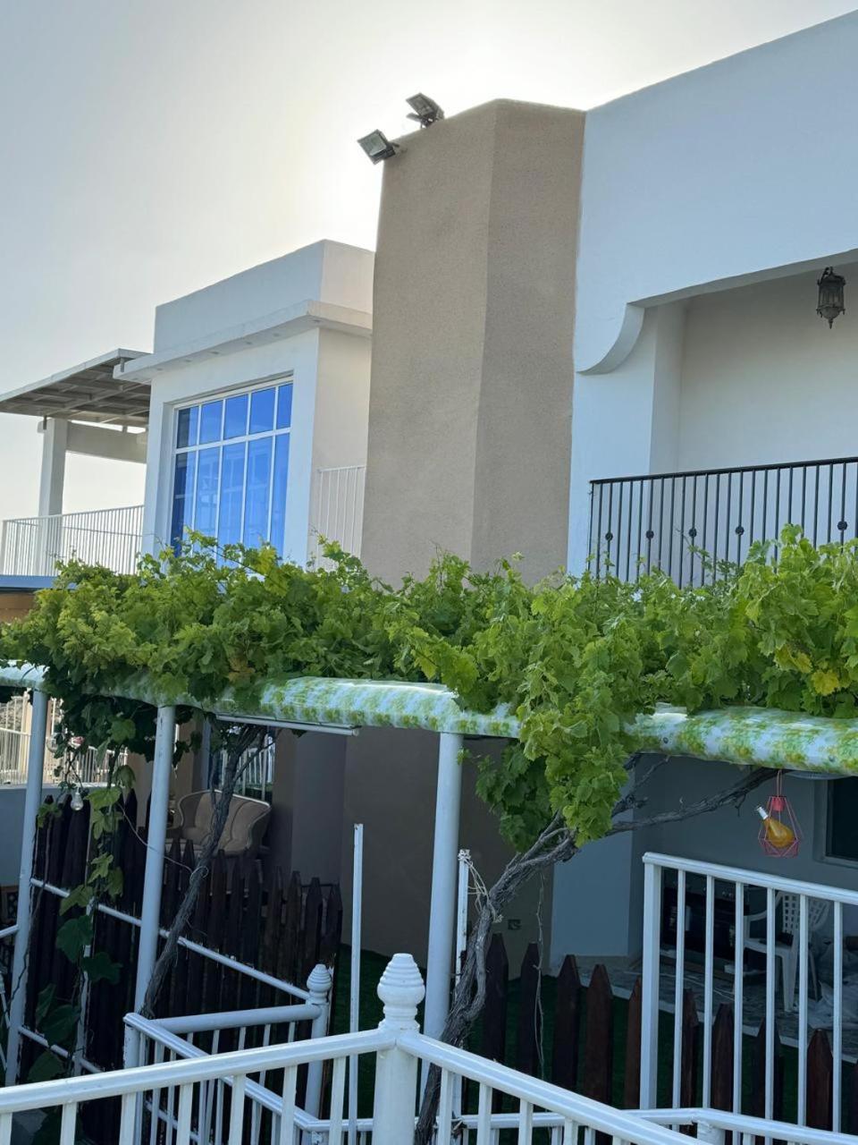 شرفة الجبل الأخضر * Hayl Yaman